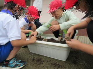 20230619jinkennohana01.jpg