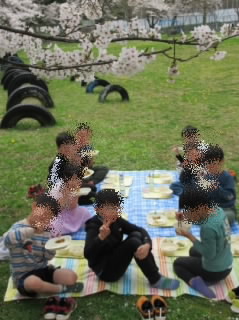 202404ohanami01.jpg