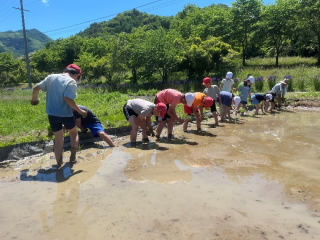 20240529taue.jpg