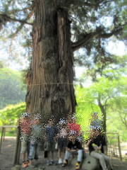 202406jissouin05.jpg