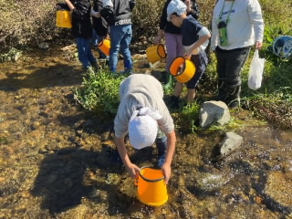 202410kawa01.jpg