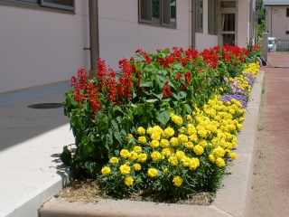 CIMG2029-2.jpg