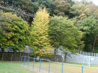 CIMG2698.JPG