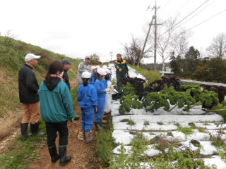 20191021hakusaisyuukaku002.JPG