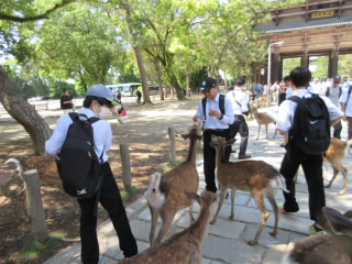 20240516syugakuryokou001.JPG