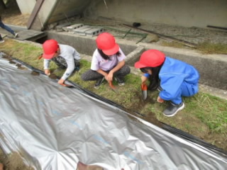 20240527hatake001.jpg