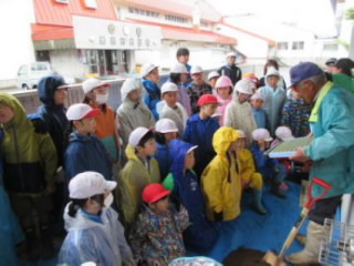 20240531tanemaki1001.jpg