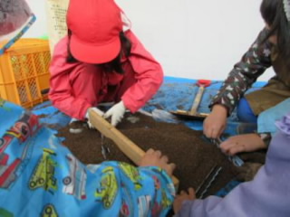 20240531tanemaki1002.jpg
