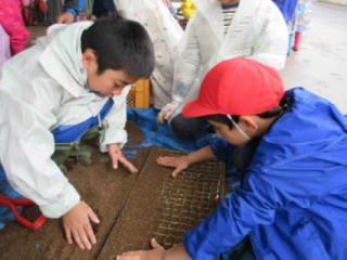 20240531tanemaki1003.jpg