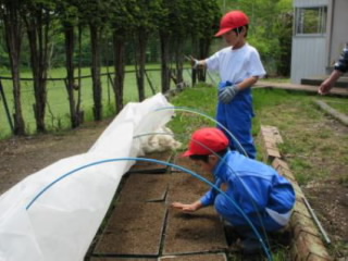 20240603tuti0012.jpg