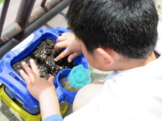 20240606tanemaki003.jpg