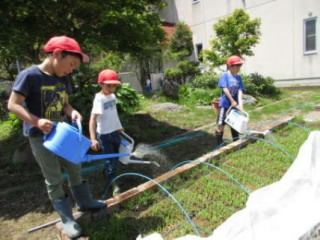 20240611mizu002.jpg