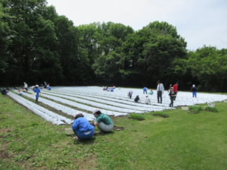 20240617nae002.jpg