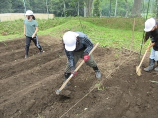 20240712hatake6001.jpg