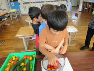 20240911yasai001.jpg