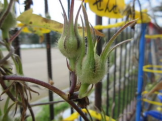 20241018kansatu002.jpg