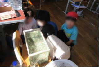 20241018sakana001.jpg