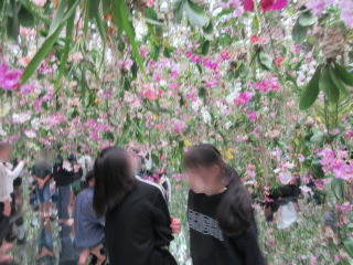 20241114syuuryo005.JPG