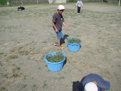 IMG_0475.JPG