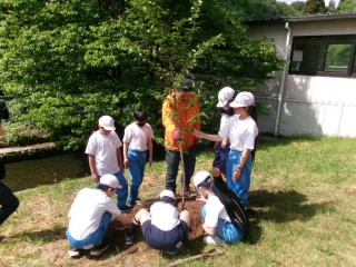 20240606_image1.jpeg