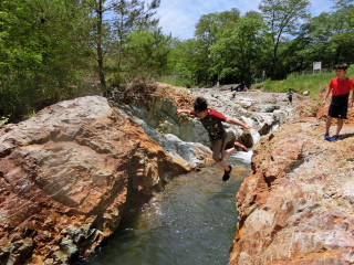 CIMG0435.JPG