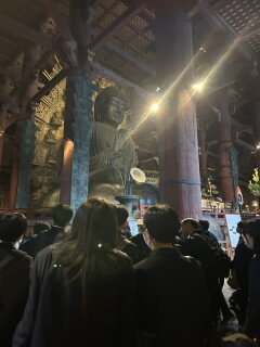 IMG_3378.jpeg