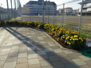 DSC02774.JPG