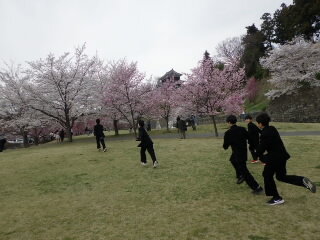 20250410ohanami001.jpg