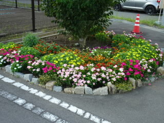 DSC02777.JPG