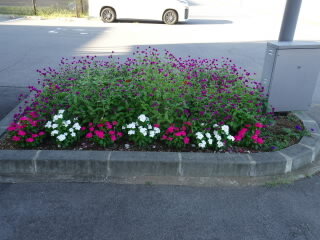 DSC02778.JPG