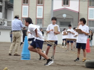 DSC03308.JPG