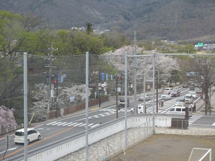 IMG_8063.JPG