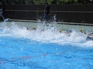 IMG_8273.JPG