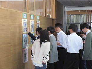 IMG_8695.JPG