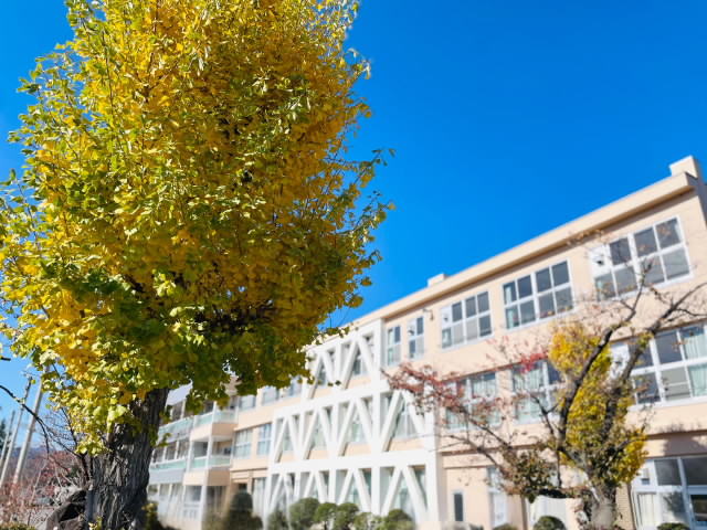 20241121autumn2.jpg
