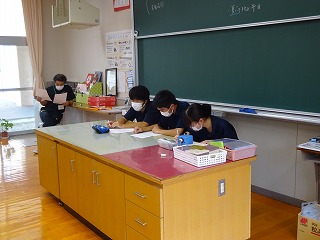 240000_DSC07264.jpg