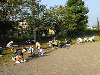 240000_PTASAGYOU4.jpg