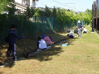 240000_ptasagyou3.jpg