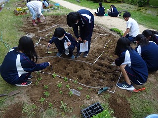 240000_ryokuka1.jpg