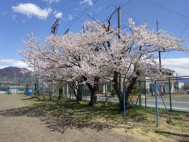 250410_2DSC09192.jpg