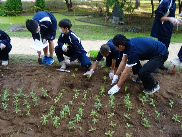 250530_DSC09593.jpg