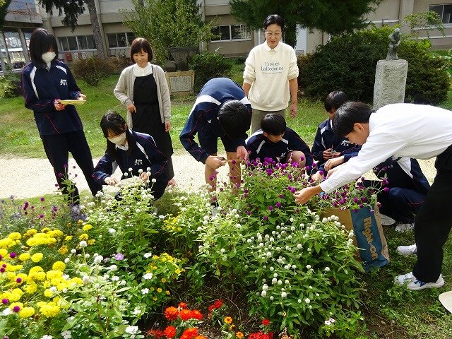 250922_DSC00550.jpg