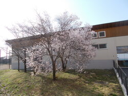 DSCN1381.JPG