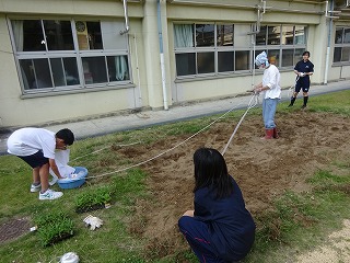 ryokuka4_DSC06809.jpg