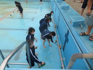 20230615pool001.jpg