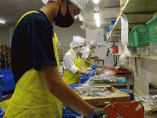 20240710syokuba01.gif