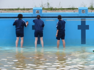 R040607pool03.JPG