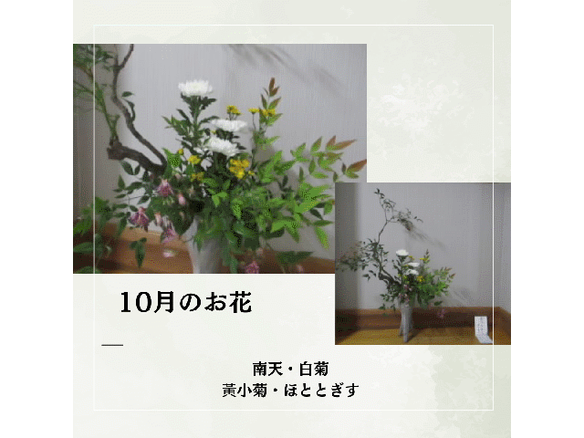 202304-202510ohanatop.gif