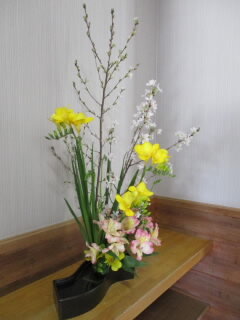 flodiagno.jpg