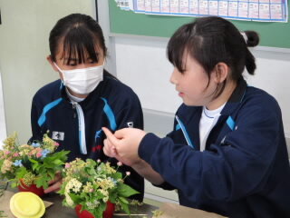 flower .JPG